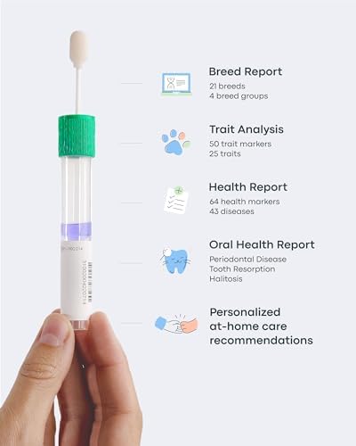 Basepaws Cat DNA Test Kit - Comprehensive Breed  Health and Dental Analysis Across 114 Traits for Accurate and Easy-to-Use Genetic Insights
