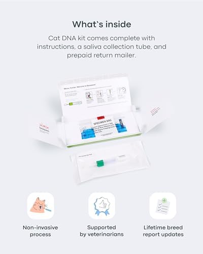 Basepaws Cat DNA Test Kit - Comprehensive Breed  Health and Dental Analysis Across 114 Traits for Accurate and Easy-to-Use Genetic Insights