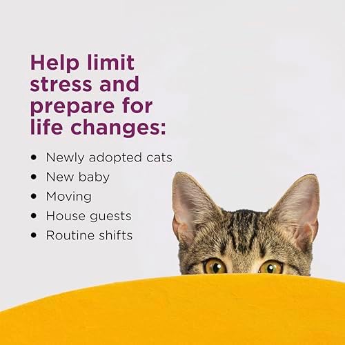 Comfort Zone Cat Calming Diffuser Refills: 6 Pack